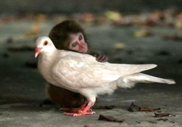 ������λ��ʳ�ߵ���·����