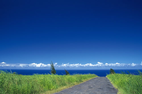 ���Լ���Щ���