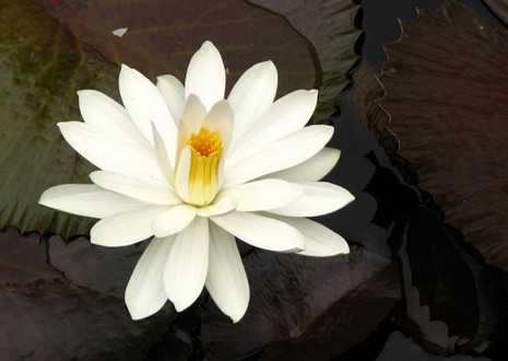 �ڼҾ�ʿ���ķ���