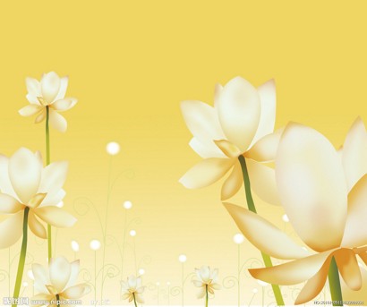 �����˵���˥