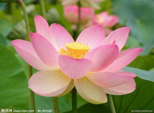 ������漣