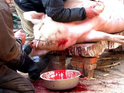 ��Ϊ����������ӱ���