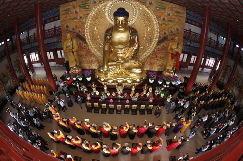 �����Ƿ�Ҫ����Ż����飿