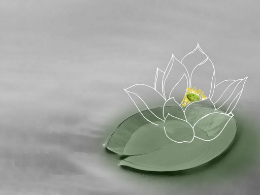 ÿ�����������ѣ�����Ҫʱ��