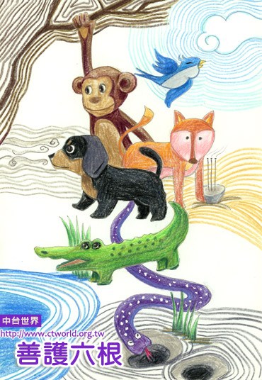 �ƻ��������������