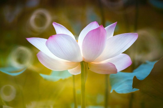 ���󹦵²���Ѱ��϶�֮��