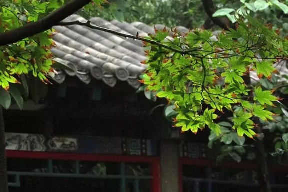 �������׽�֮��������������