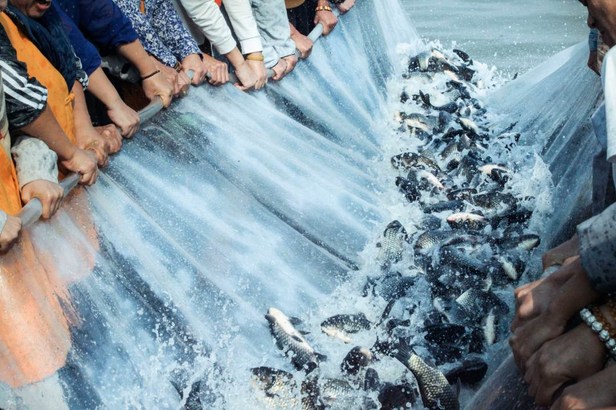 ��������������ҵ�ϵ��������