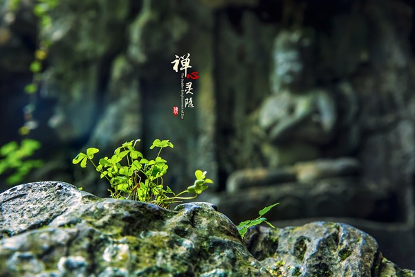 �ľ�������Ĵ���