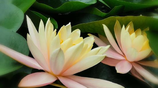 �׽���֪ʶ����Ҫ