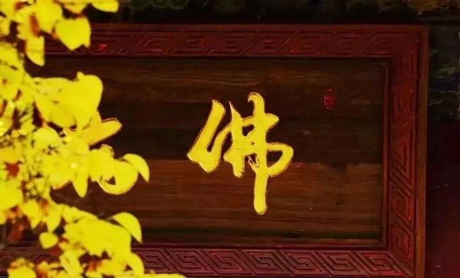 身体随着佛号节奏打拍子,这样有利于摄心专注吗