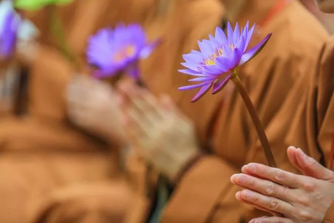 �Ĳ����κ��ƶ�ĸ��ţ���Ž�����