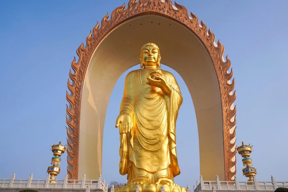 �Ϸ�����������