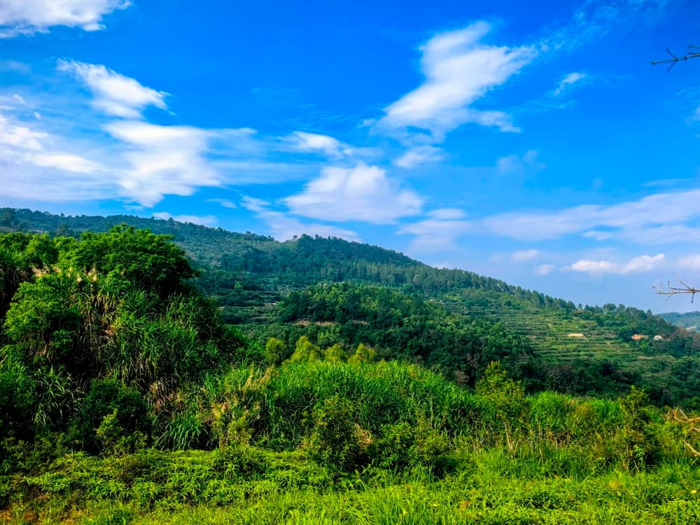 Ī���������޵����·ض���и����