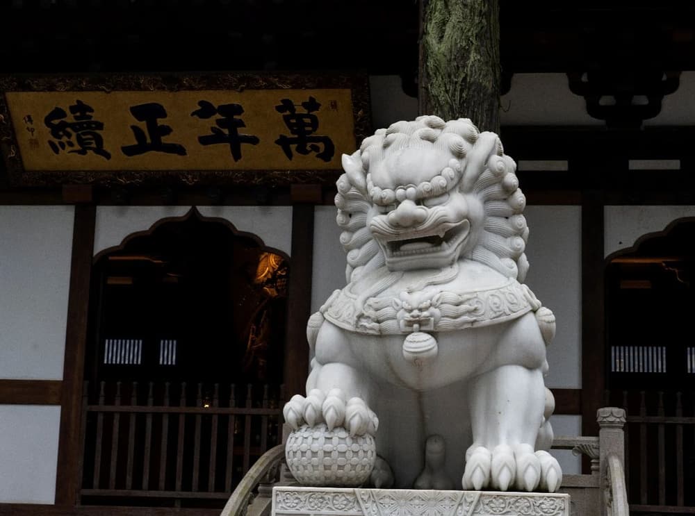 Բͨ��ʦ��������