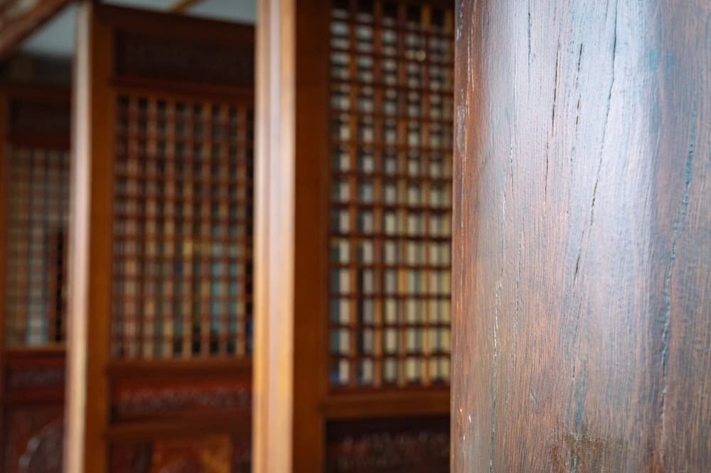 �Ʊ��ִ�ķ���