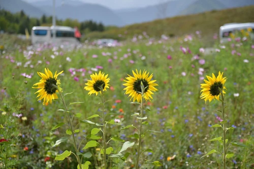 ����˼�������棬������ҹ�����