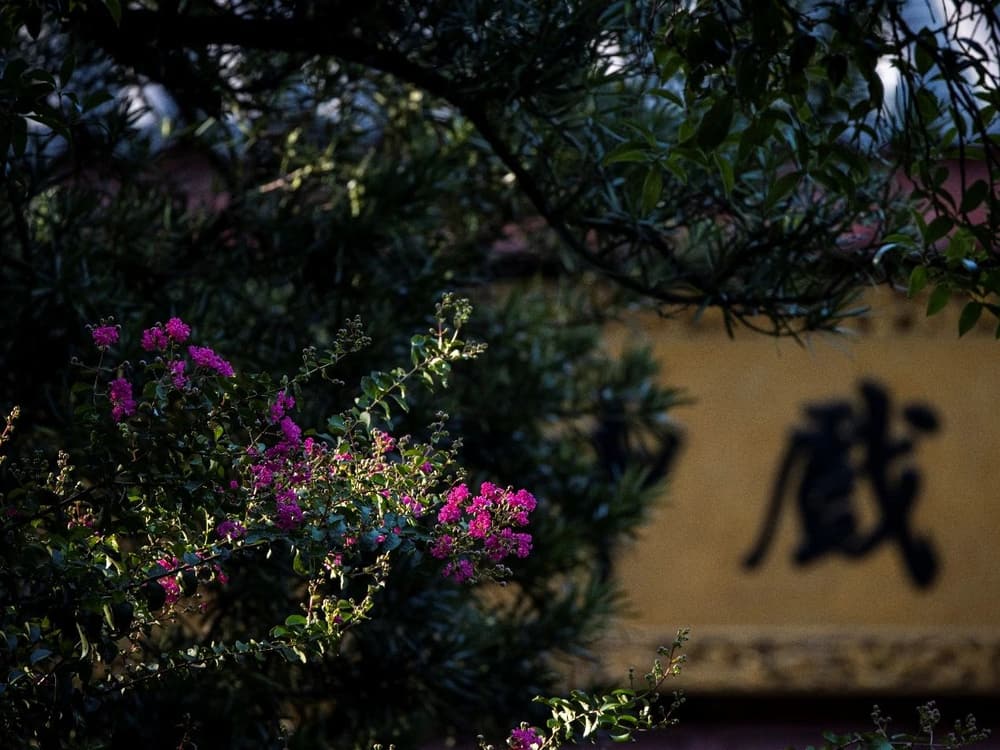 �����ֵ�������Ӱ�����ǵ�����