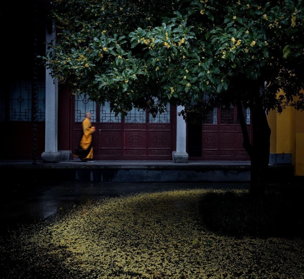 �������˾���������ƻ�����