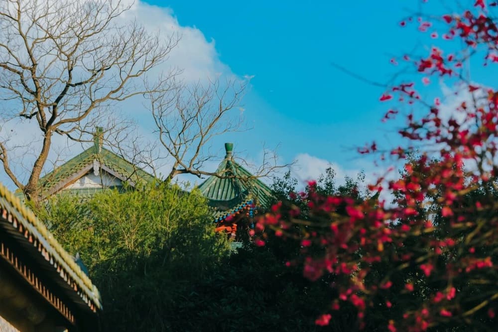 如何让家属理解与配合成功助念