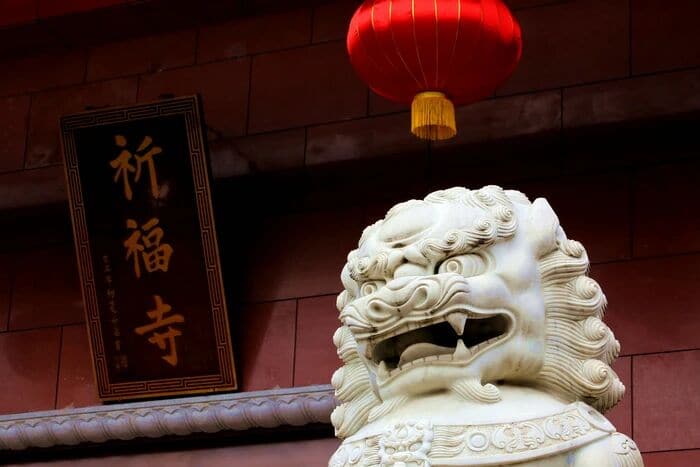 ���ִ�����������Ĳ��