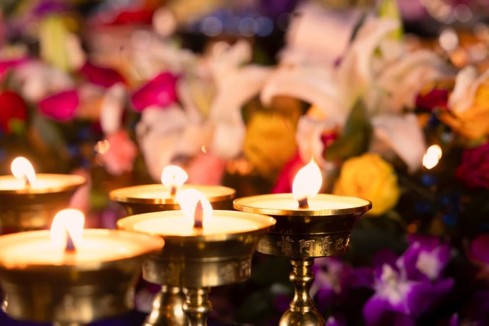 ���밮���󱯣���������