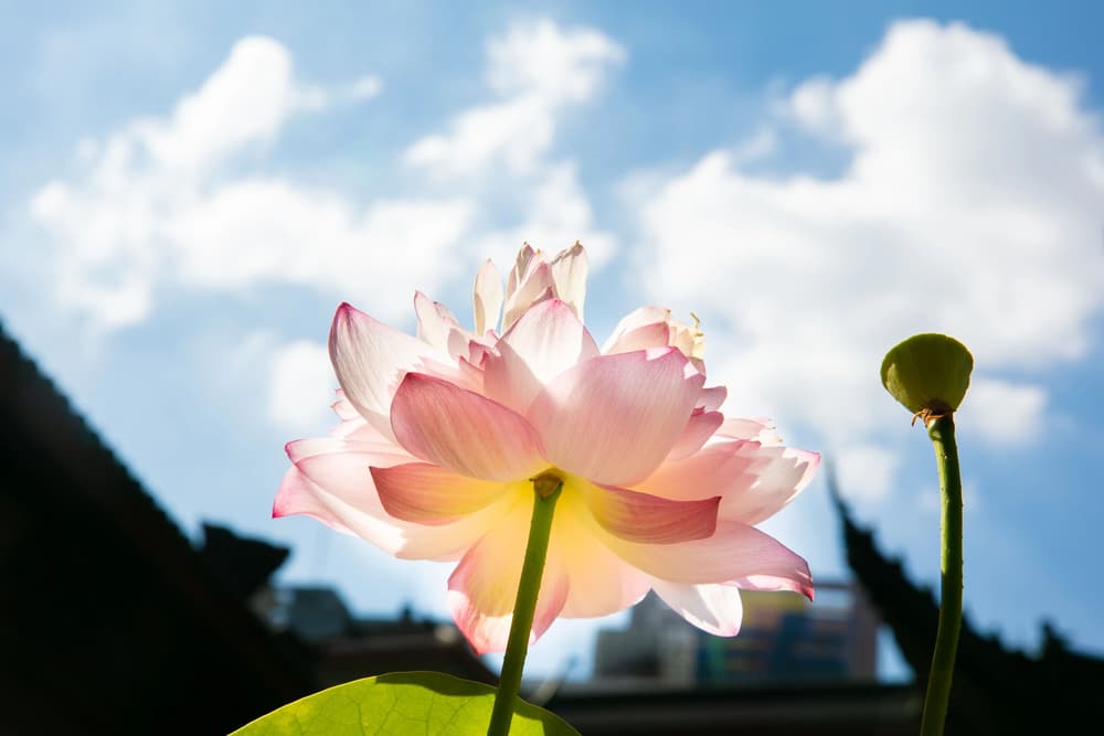 ������������䣬��������ֵ�