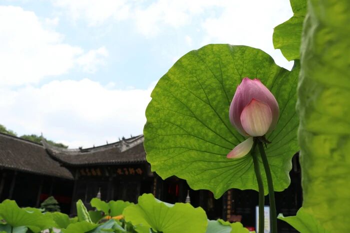 杀生不可不戒也