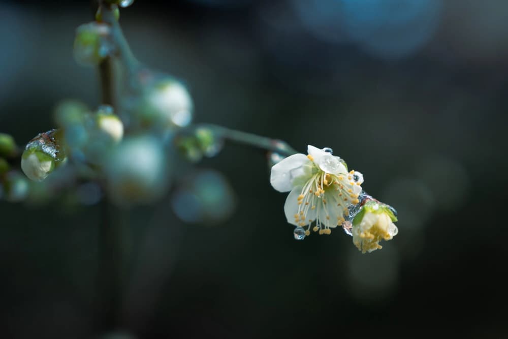 һ�����۸����������Ĺ�ϵ