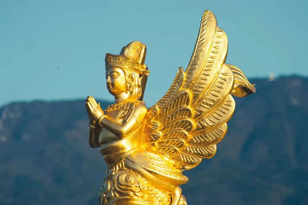 生命是可以改造的,因为我空,法空