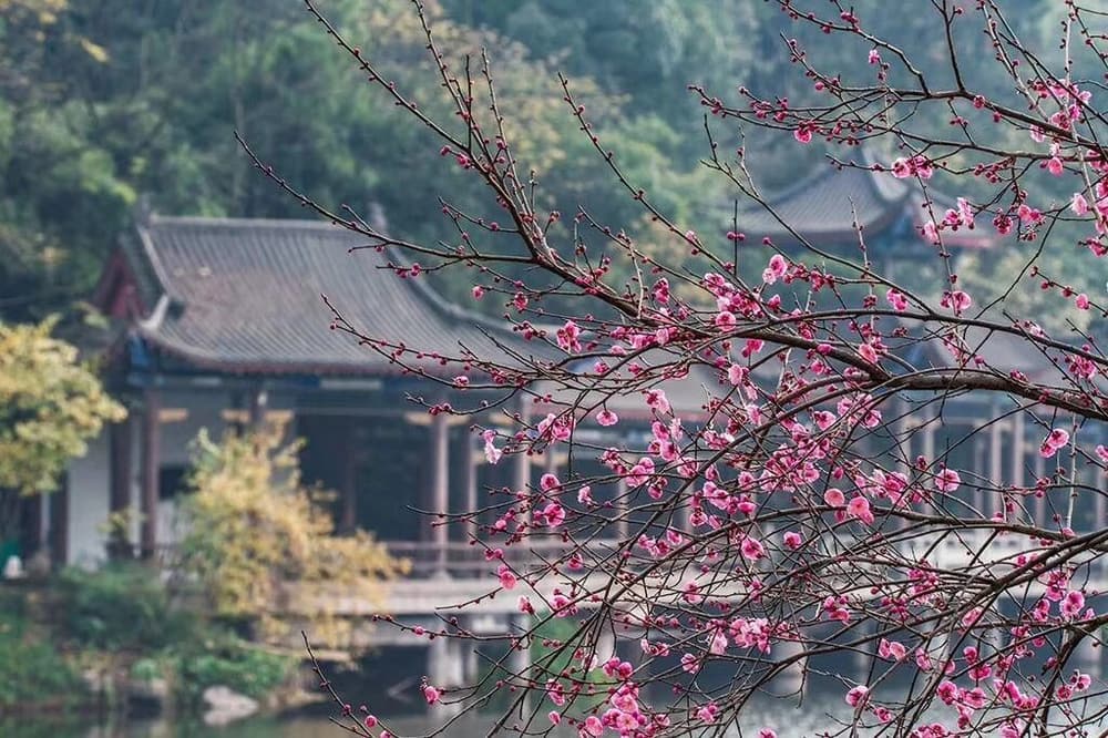 六度的修学有三个重点