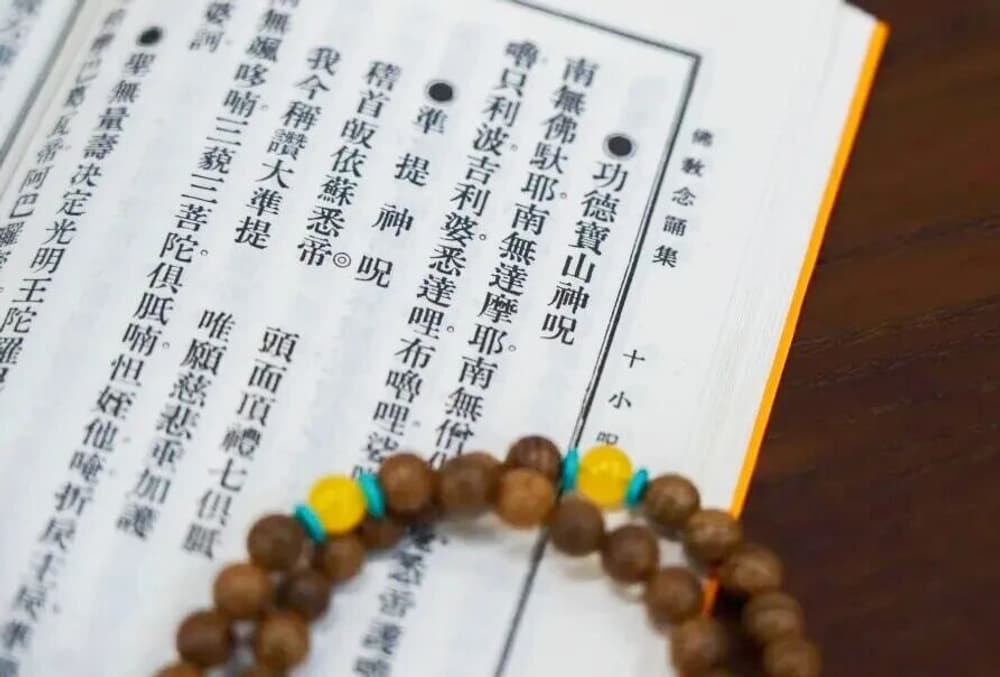 ������������۲Ż�������