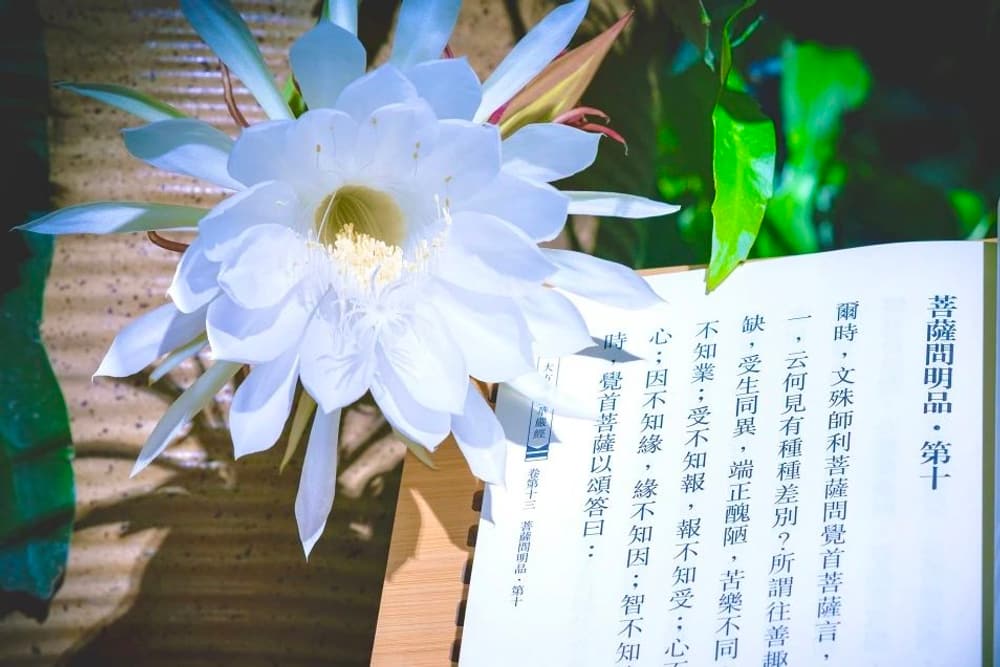 好好发心,把杀生这个业给转了